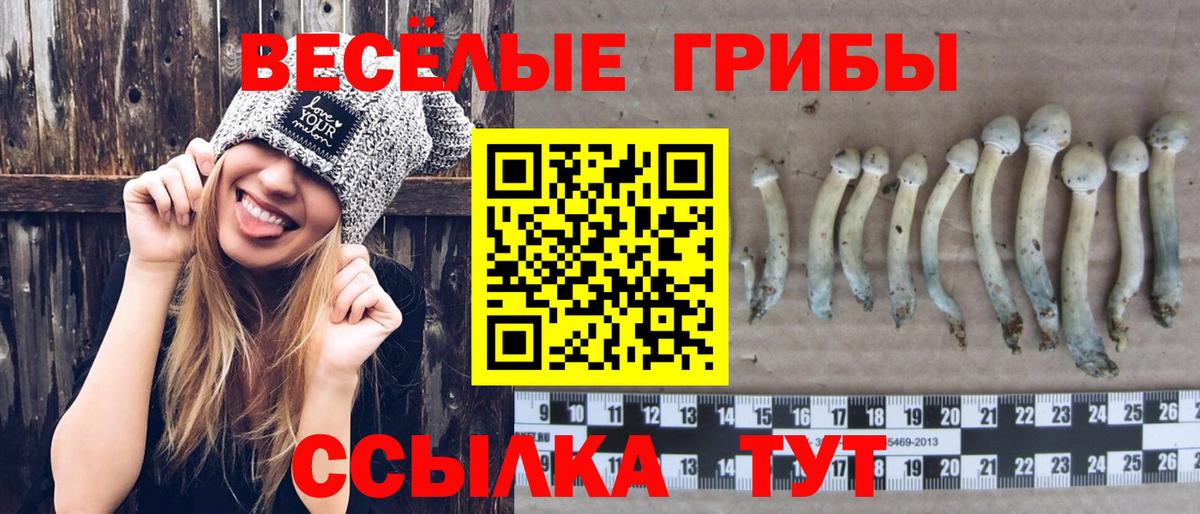 Псилоцибиновые грибы ЛСД Петрозаводск